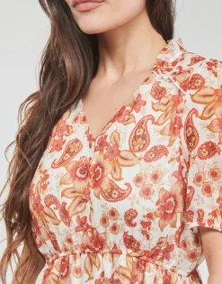 Deeluxe - ZALTANA RO W