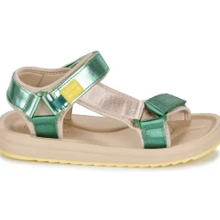 D.Franklin - 361 FOREST