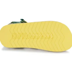 D.Franklin - 361 FOREST