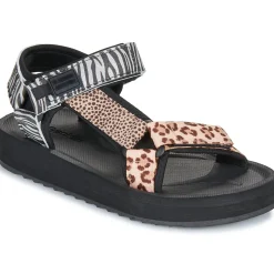 D.Franklin - 404 FOREST HIGH