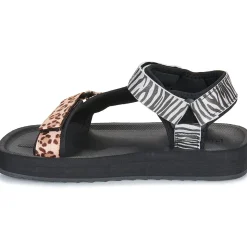 D.Franklin - 404 FOREST HIGH