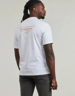 Dickies - DICKIES GLOBE TEE SS