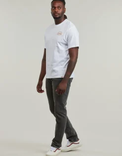 Dickies - DICKIES GLOBE TEE SS