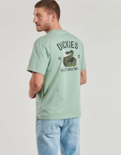 Dickies - DICKIES SNAKE SS TEE