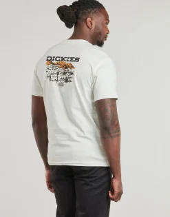 Dickies - LANDASCAPE SS TEE