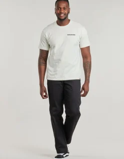 Dickies - LANDASCAPE SS TEE