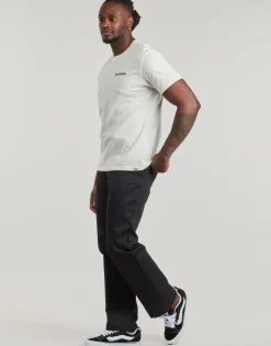 Dickies - LANDASCAPE SS TEE
