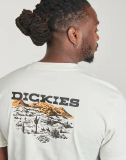 Dickies - LANDASCAPE SS TEE
