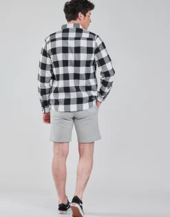 Dickies - NEW SACRAMENTO SHIRT BLACK