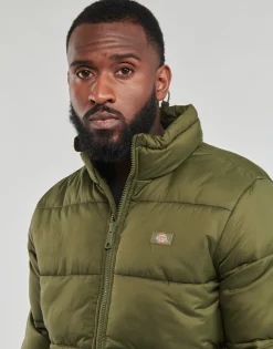 Dickies - WALDENBURG