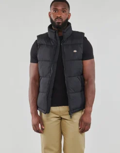 Dickies - WALDENBURG