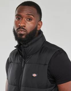 Dickies - WALDENBURG