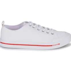 Diesel - S-ATHOS LOW