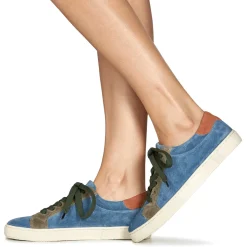 Dream in Green - ACANTHE