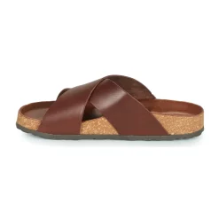 Dream in Green - AGAVE