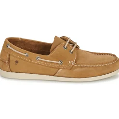 Dream in Green - ANTERO