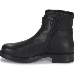 Dream in Green - FOMENTANA