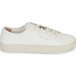 Dream in Green - JOBI