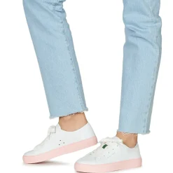 Dream in Green - JOBI