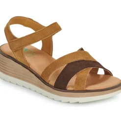 Dream in Green - LISA