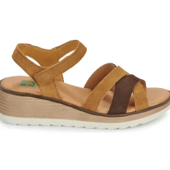 Dream in Green - LISA