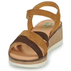 Dream in Green - LISA