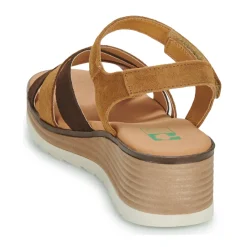 Dream in Green - LISA