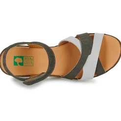 Dream in Green - LISA