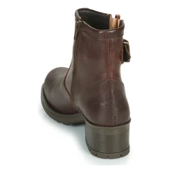 Dream in Green - NETISE