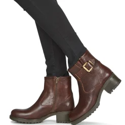 Dream in Green - NETISE