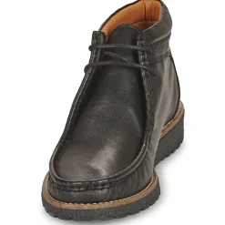 Dream in Green - OPHINA