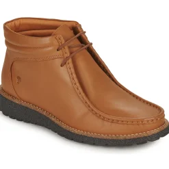 Dream in Green - OPHINA