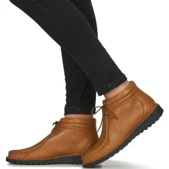 Dream in Green - OPHINA