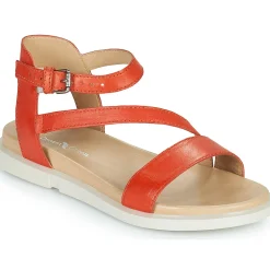 Dream in Green - OURY