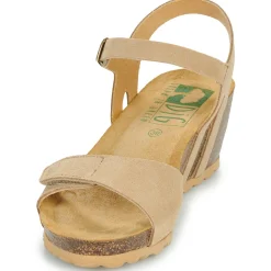 Dream in Green - PHILEAS