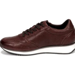 Dream in Green - PORTOVECCHIO