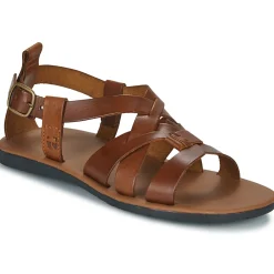 Dream in Green - QUESELLE