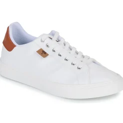 Dream in Green - SORPHIE