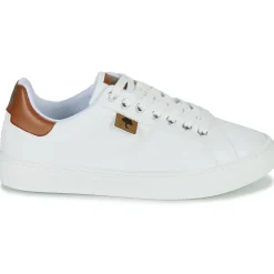 Dream in Green - SORPHIE