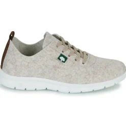 Dream in Green - SOTISE