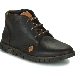 Dream in Green - SOULOTTE