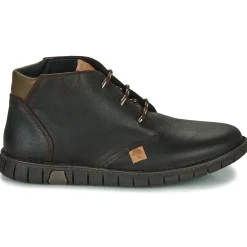 Dream in Green - SOULOTTE