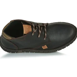 Dream in Green - SOULOTTE