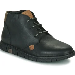 Dream in Green - SOULOTTE