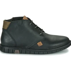 Dream in Green - SOULOTTE