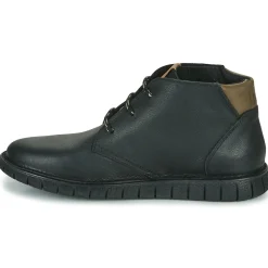 Dream in Green - SOULOTTE