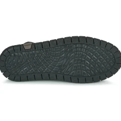 Dream in Green - SOULOTTE