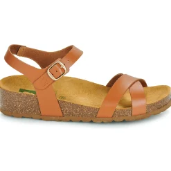 Dream in Green - TSILI