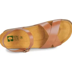 Dream in Green - TSILIA