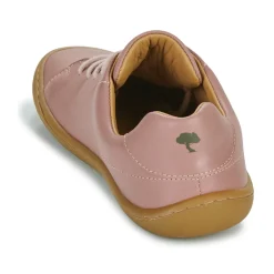 Dream in Green - ZAPHIRI